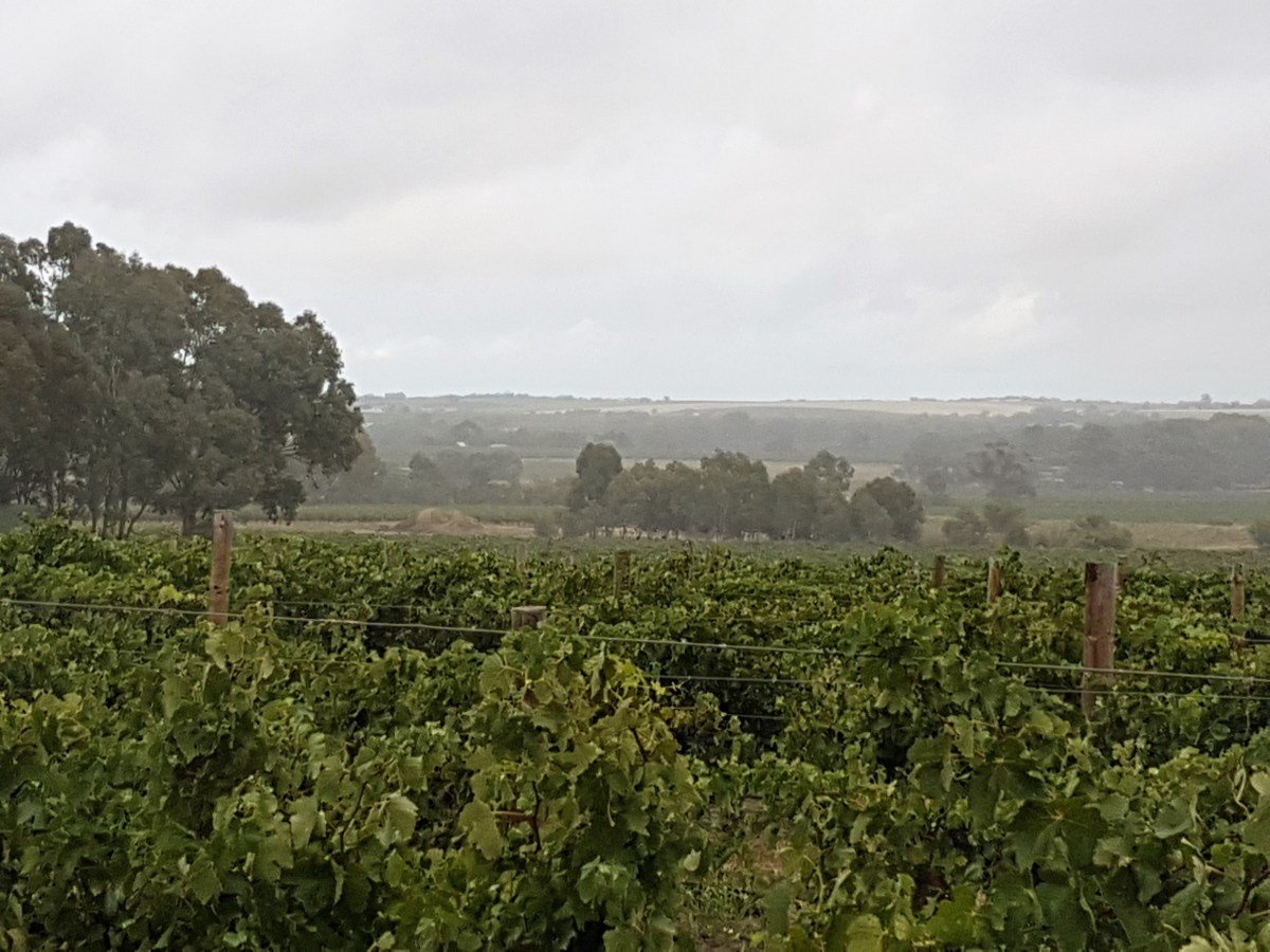 Barossa Cycling on a rainy day