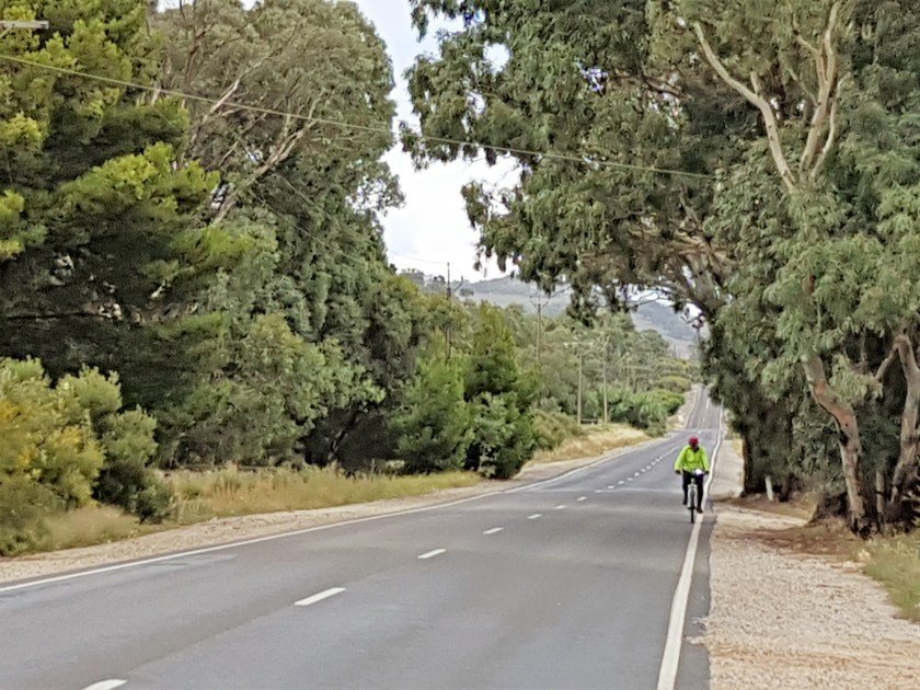 Barossa Cycling in the rain - Murray on Light Pass Road