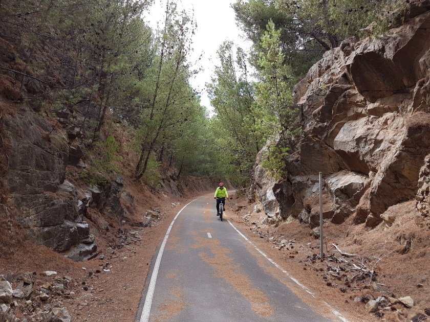 Barossa Cycling - Barossa Rail Trail - the rail cutting near Angaston