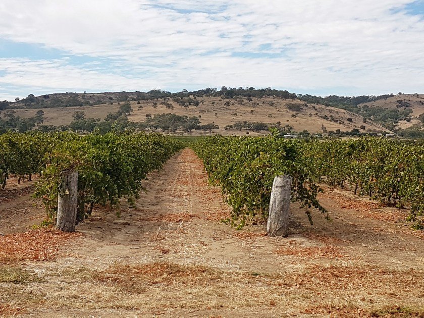 View west from Thiele Road towards Menglers Hill