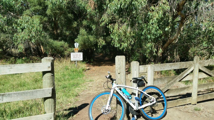 Camperdown Timboon Rail Trail - the vegetation becomes more dense