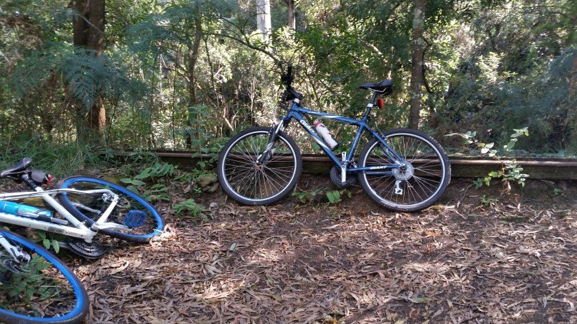 Camperdown Timboon Rail Trail - sections of the original railway line exposed