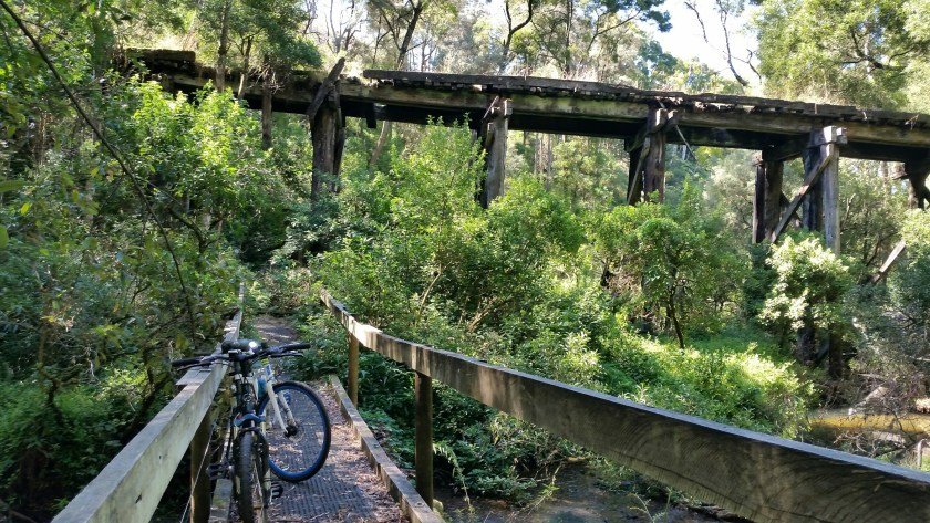 Camperdown Timboon Rail Trail - looking up to a disused trestle bridge