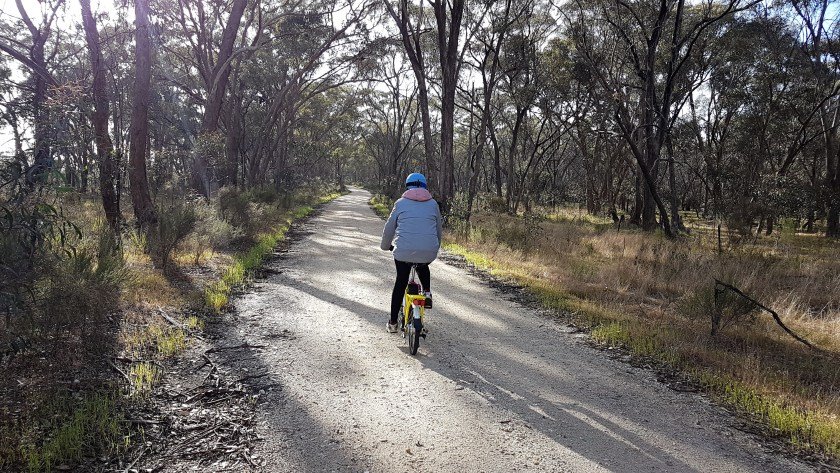 Castlemaine to Maldon Trail - Fe ahead of me on the trail
