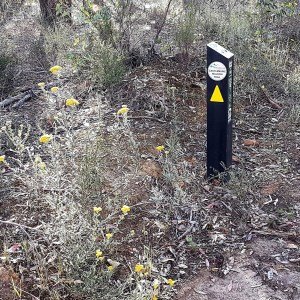 Castlemaine to Maldon Trail - milestone three kilometres from Maldon