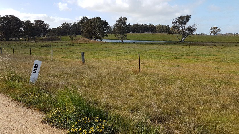 Castlemaine to Maldon Trail - the countryside opens up