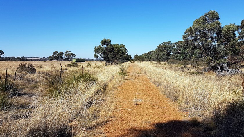 Collie Darkan Rail Trail - open farmland on the Hillman section