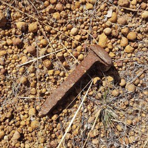 Collie Darkan Rail Trail - rail spike