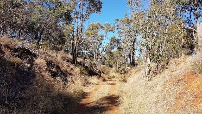 Collie Darkan Rail Trail - the rail trail starts with a seven kilometre gentle climb
