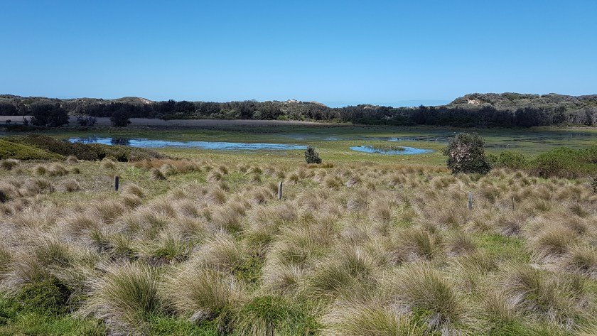 Bass Coast Rail Trail - Powlett River Wetlands between Wonthaggi and Kilcunda