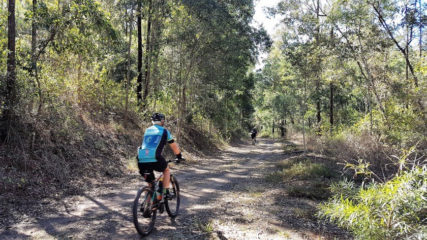 BVRT Blackbutt to Linville - rolling down through the Benarkin State Forest