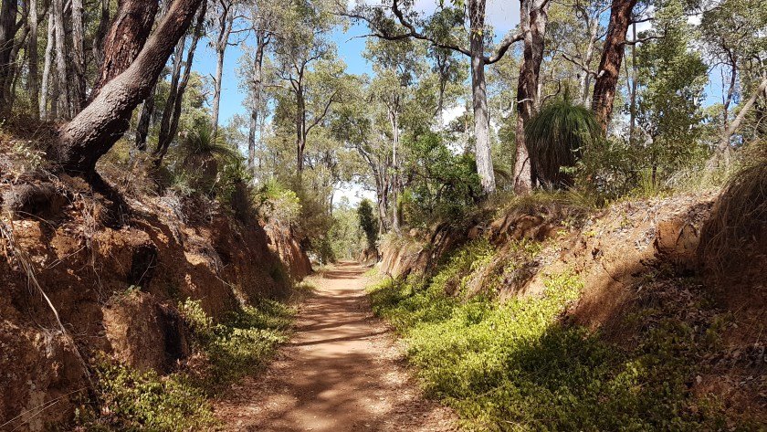 WA Rail Trails - Cutting in the southern section of the Railway Reserves Heritage Trail near Mount Helena.