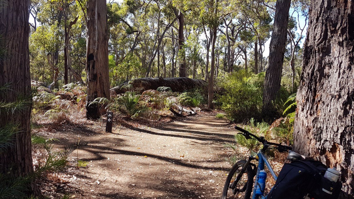WA Rail Trails - Old Timberline Trail Nannup - tent sites at Sleeper Hewer's Camp