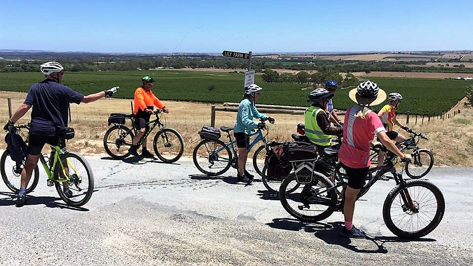 Cycling Barossa Backroads – Bethany, Penrice, Krondorf