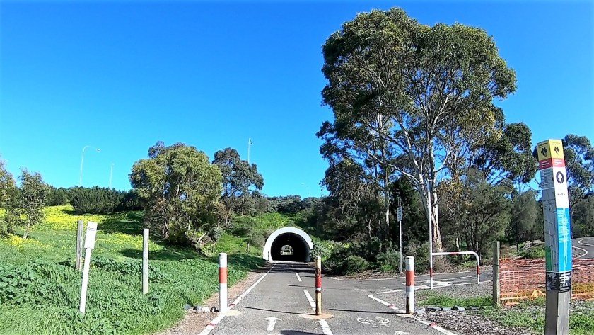 Coast to Vines Rail Trail - tunnel under the M2 - turnoff to the M2 Veloway on the right.