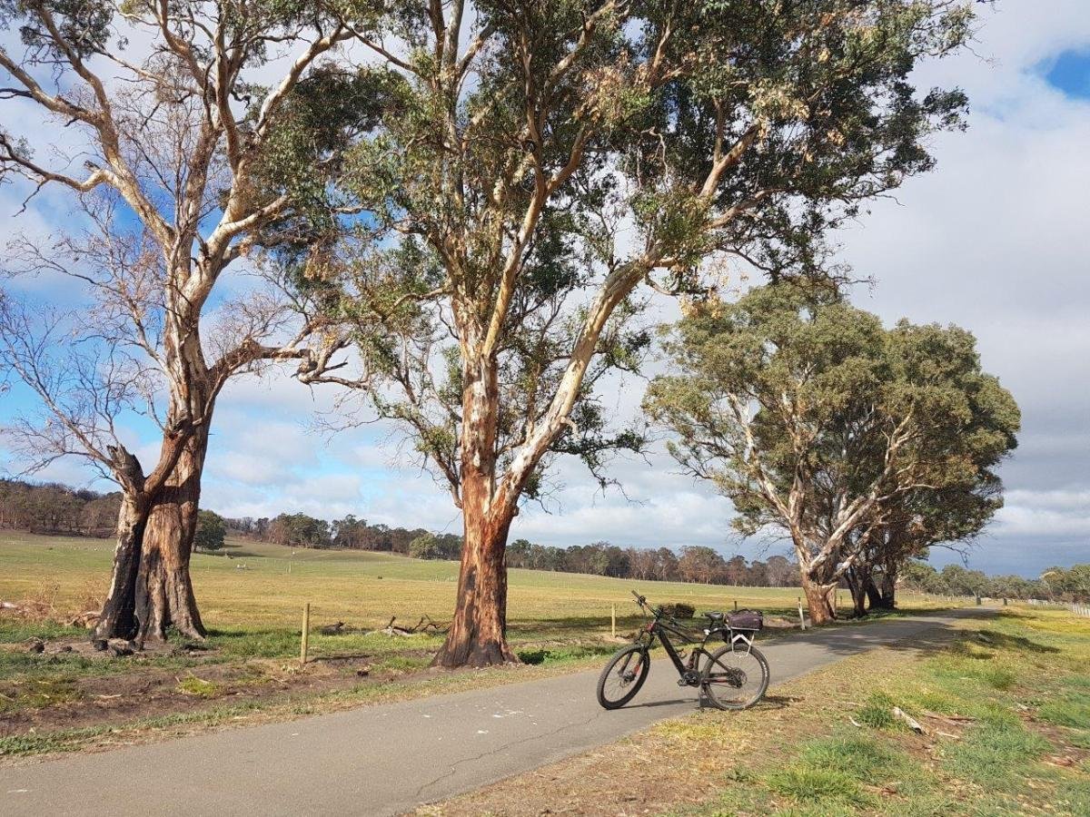 Amy Gillett Rail Trail between Woodside and Charleston