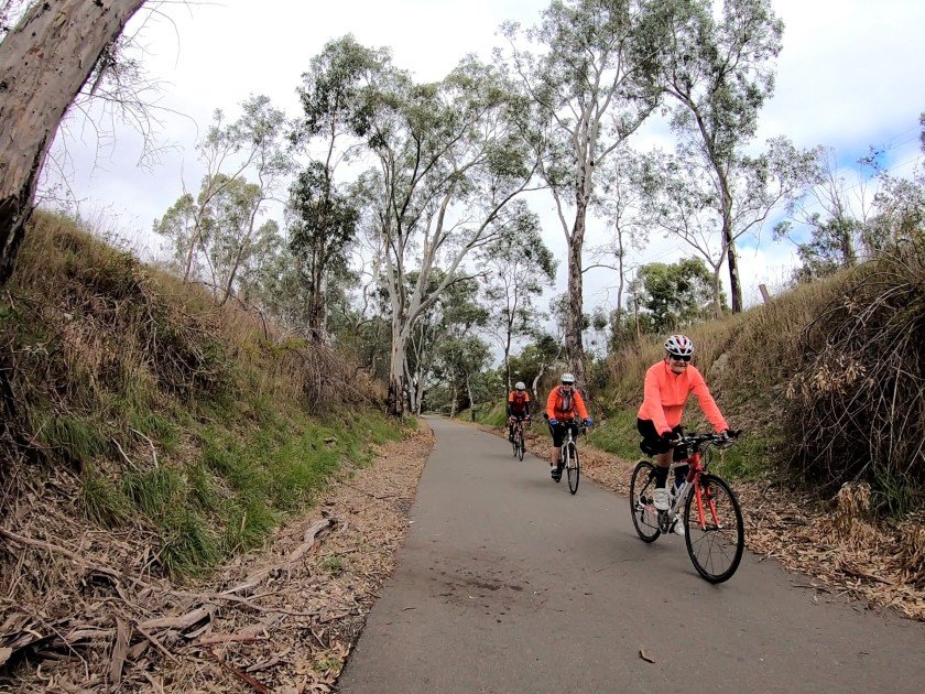 Amy Gillett Rail Trail between Mount Torrens and Charleston - three cyclists ride through a cutting