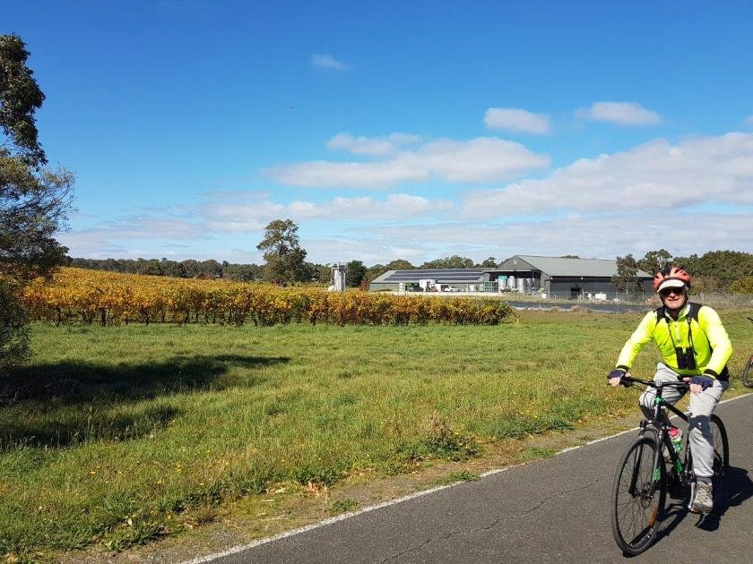 Amy Gillett Rail Trail between Oakbank and Woodside - cyclist pedals past the autumn vineyards of Wicks Estate