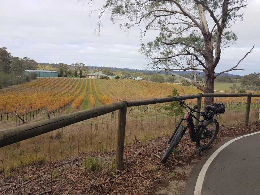 Amy Gillett Rail Trail near Mount Torrens - autumn vineyards